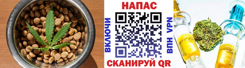 Cannafood конопля  как найти закладки  Зея 