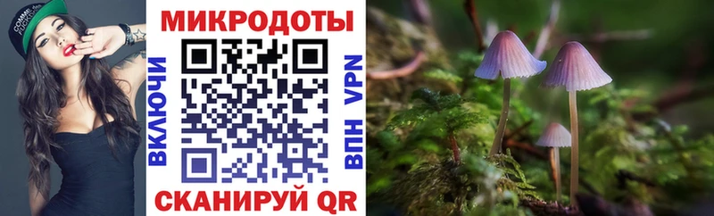 мега ССЫЛКА  Зея  Галлюциногенные грибы GOLDEN TEACHER 