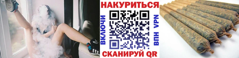 как найти закладки  Зея  Конопля сатива 